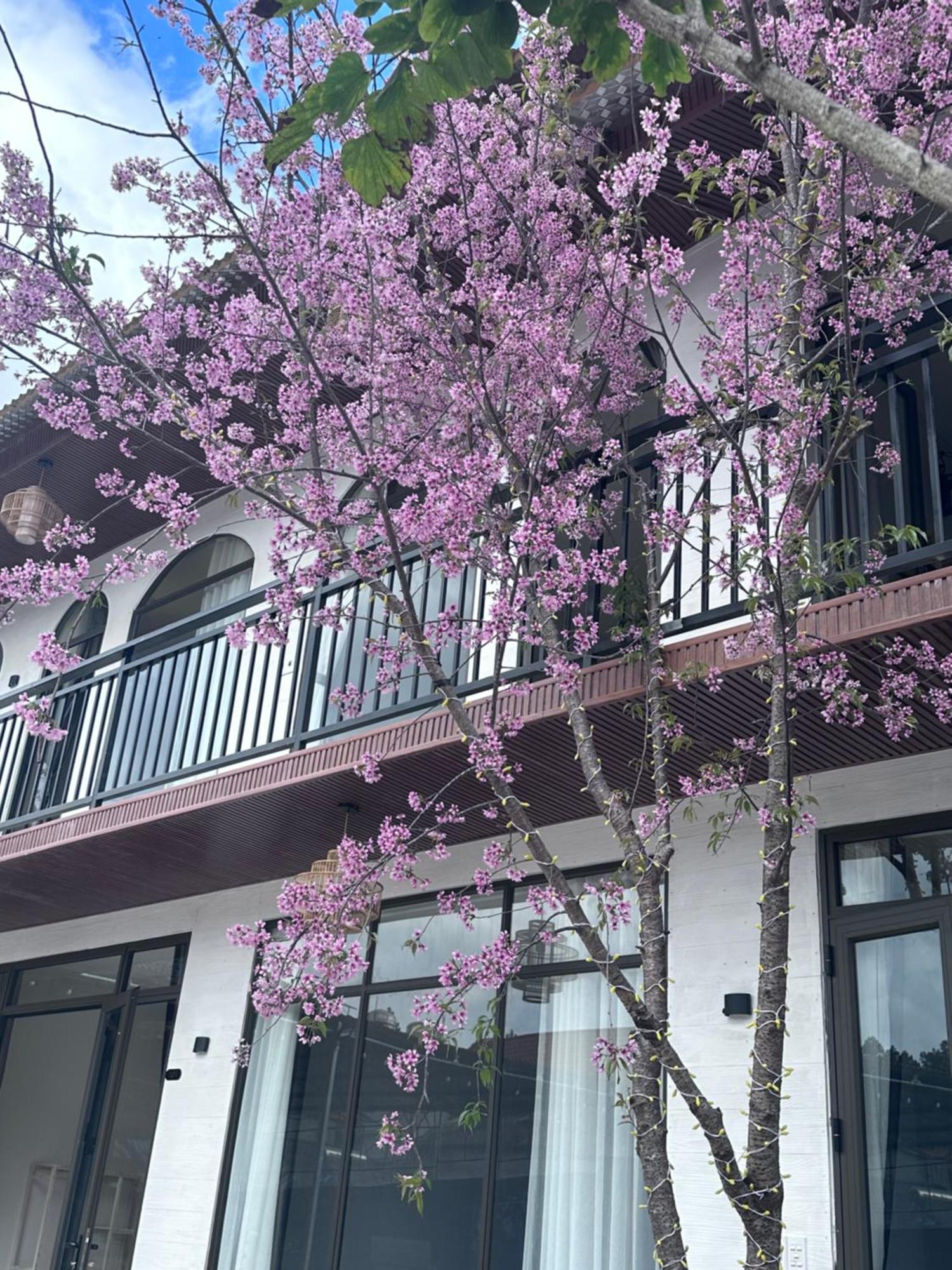 Bin House - Moc Chau Hotel Buitenkant foto